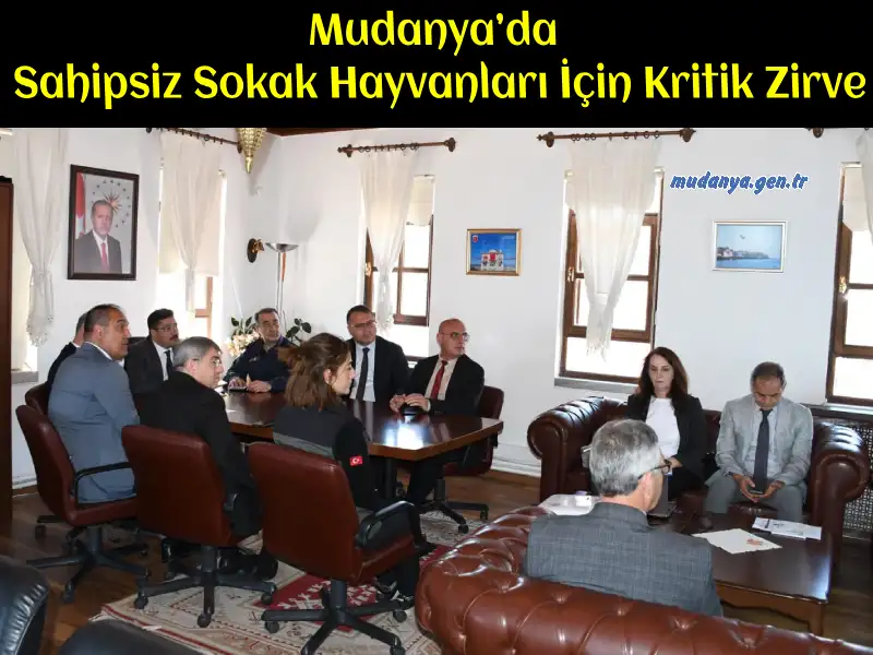 Mudanya’da Sahipsiz Sokak Hayvanları İçin Kritik Zirve
