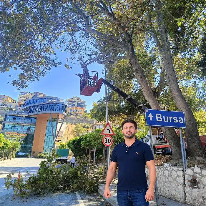 Muhtar BAŞARAN Başvurdu, Halitpaşa'da Tehlike Oluşturan Dallar Budandı