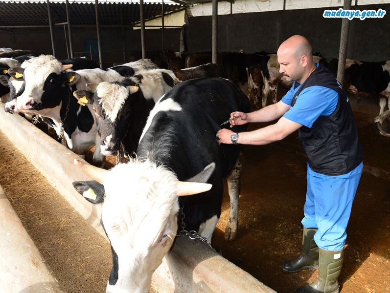 Veteriner Otoritesi Merkez ve Taşra Teşkilatları yeniden açılsın