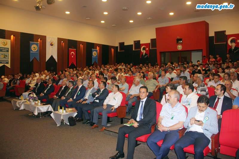 Defne Yaprağında Artan Pazar Payı Kazanca Dönüşüyor