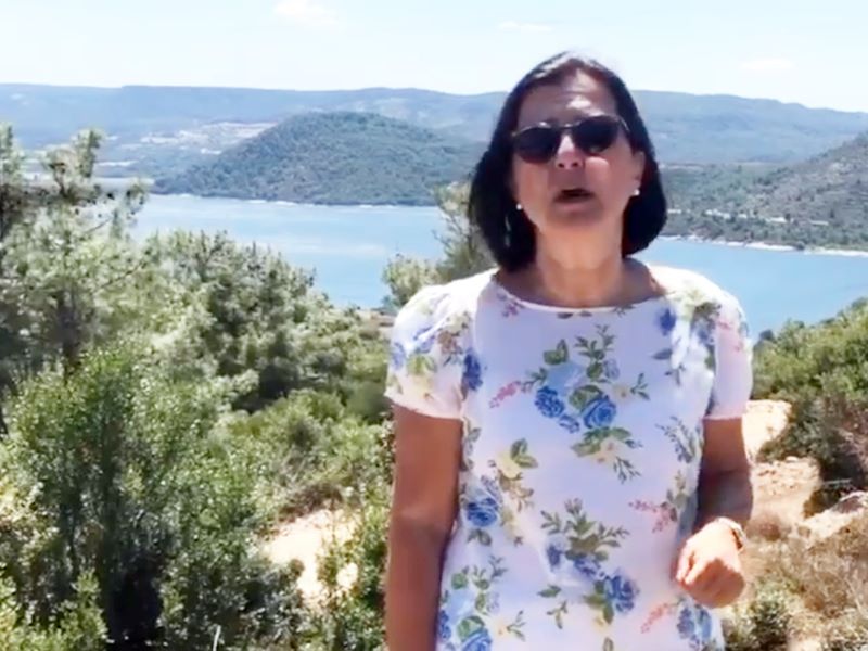 Debiz ATAÇ TEMA Vakfı Başkanı