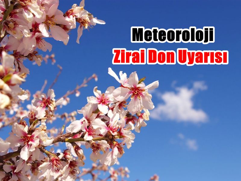Zirai Don Uyarısı