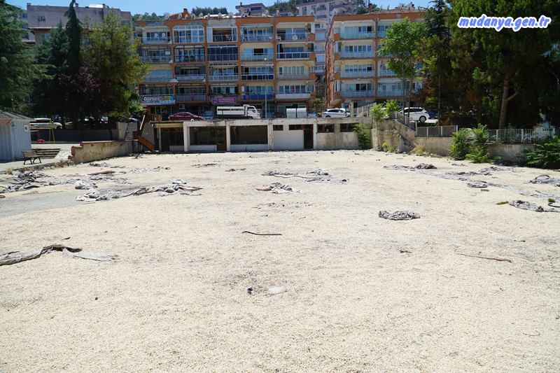 Mudanyalı Metruk Halı Sahadan Şikayetçi