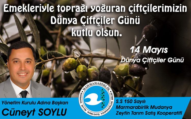 cüneyt soylu