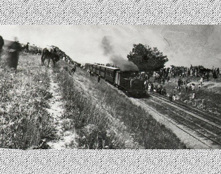Mudanya Treni